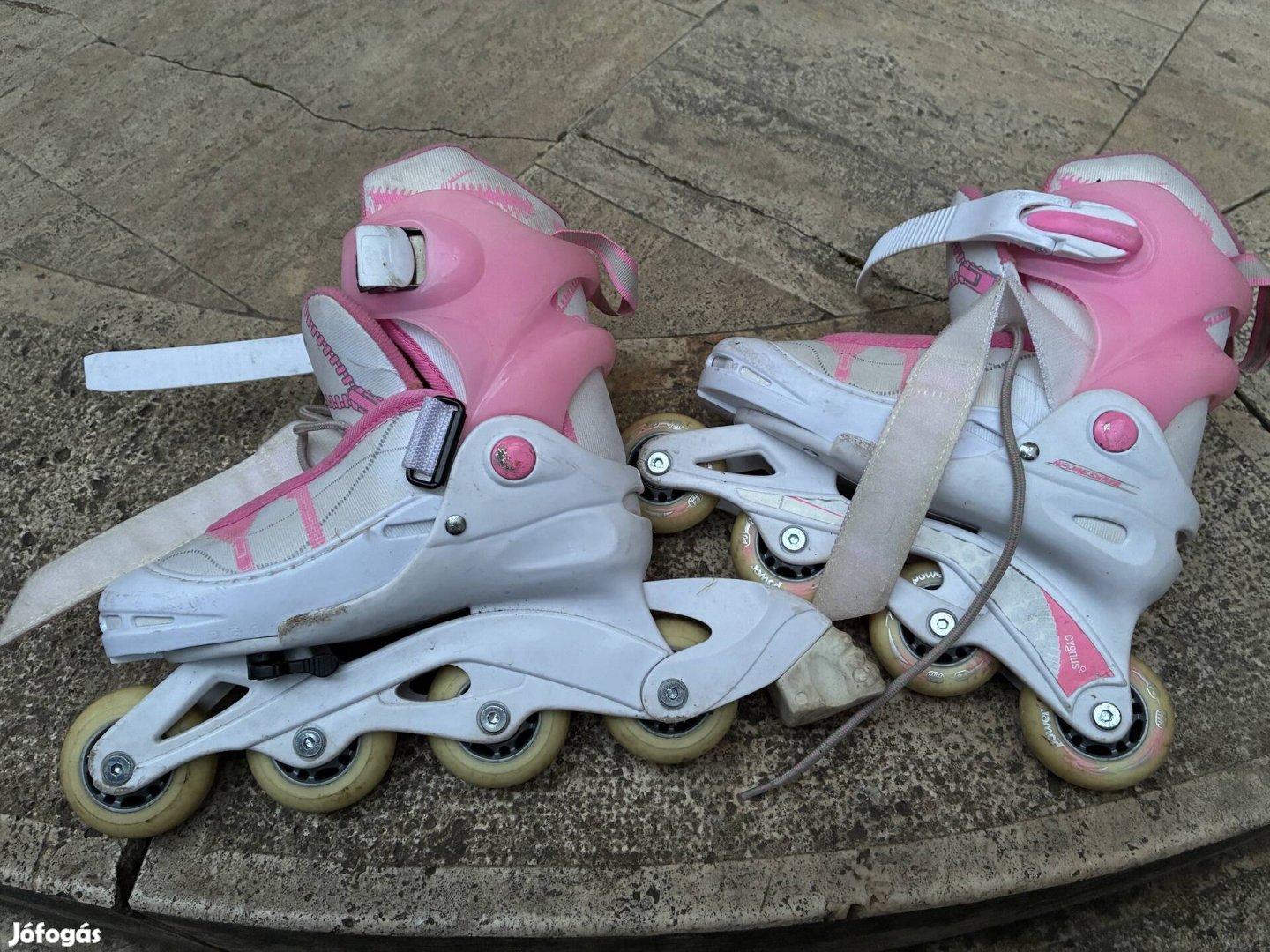 Görkorcsolya Cygnus 30-33, ingyen elvihető