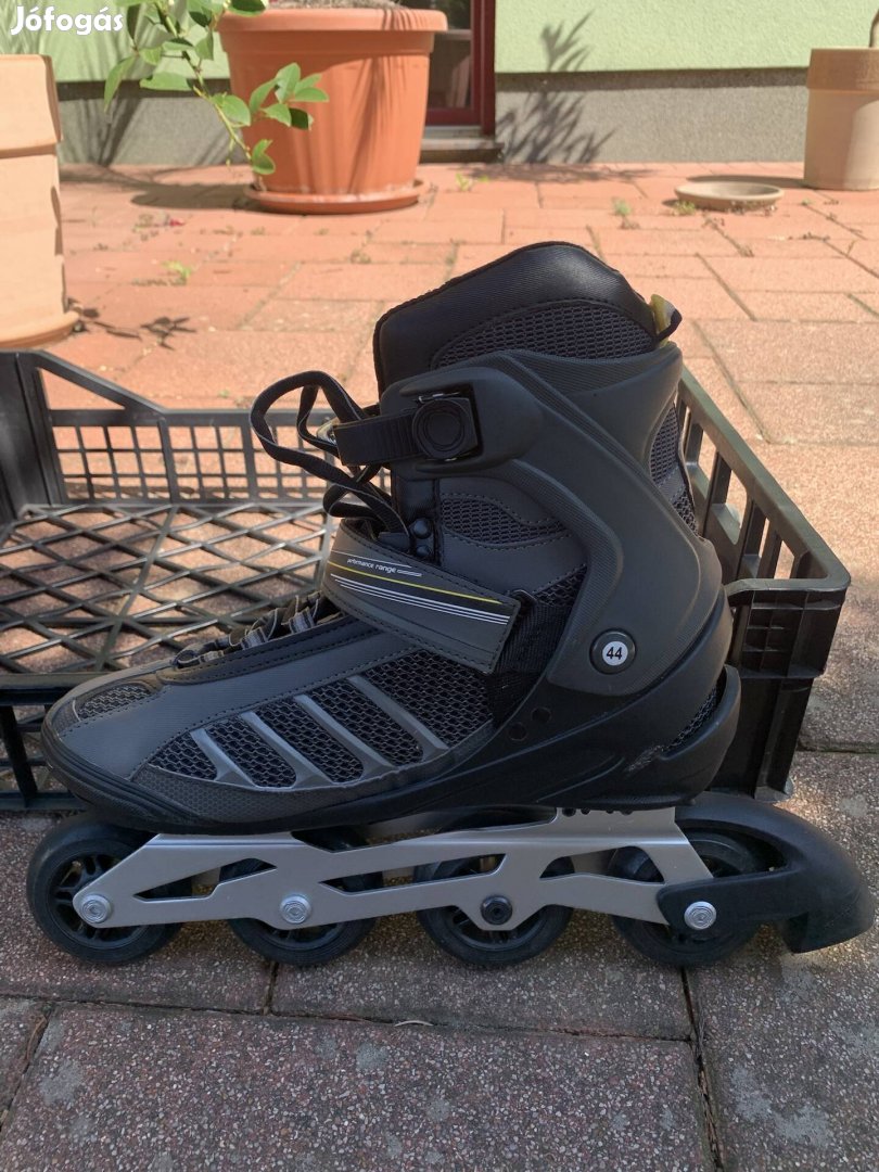 Görkorcsolya eladó !