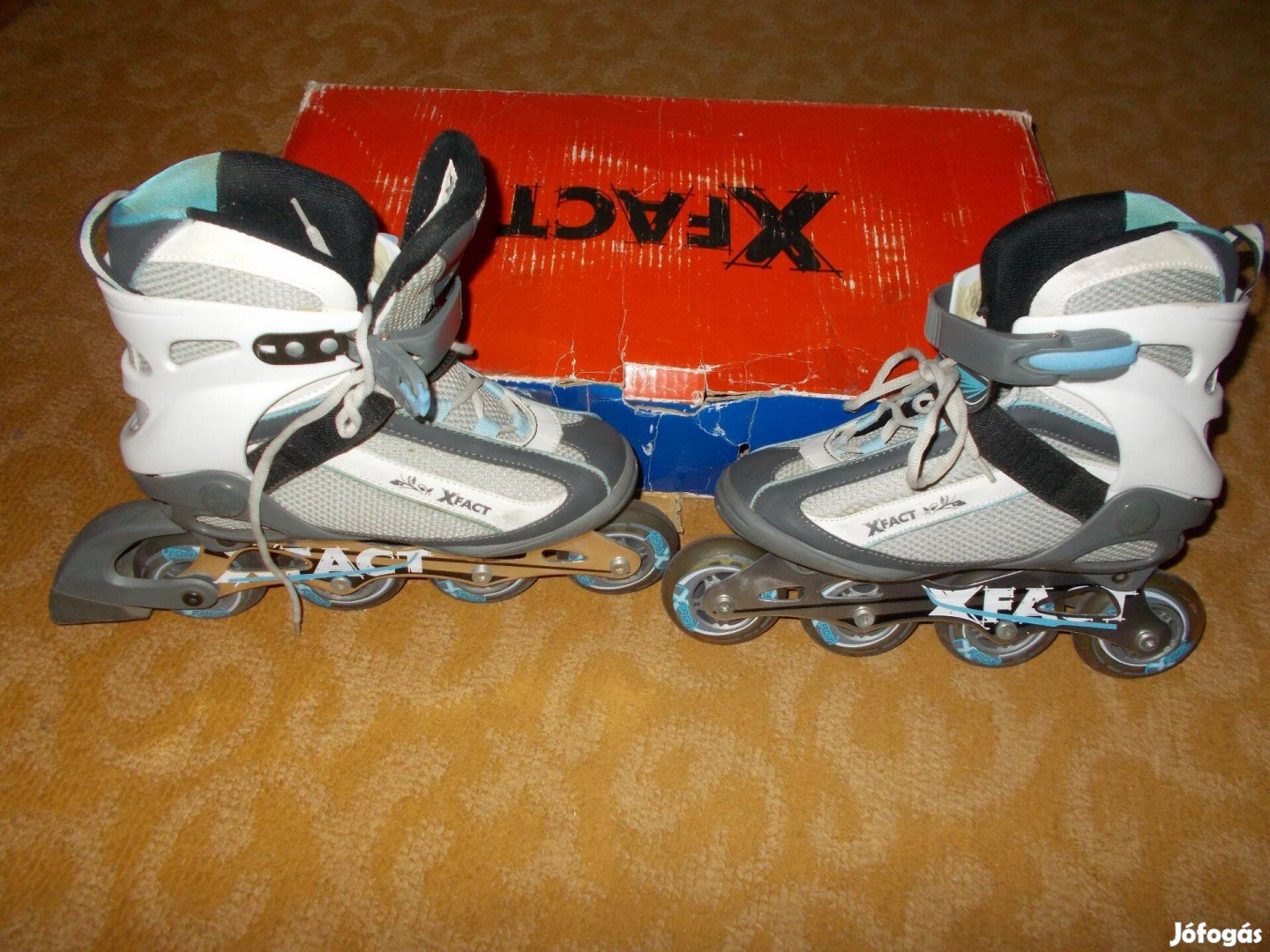 Görkorcsolya eladó