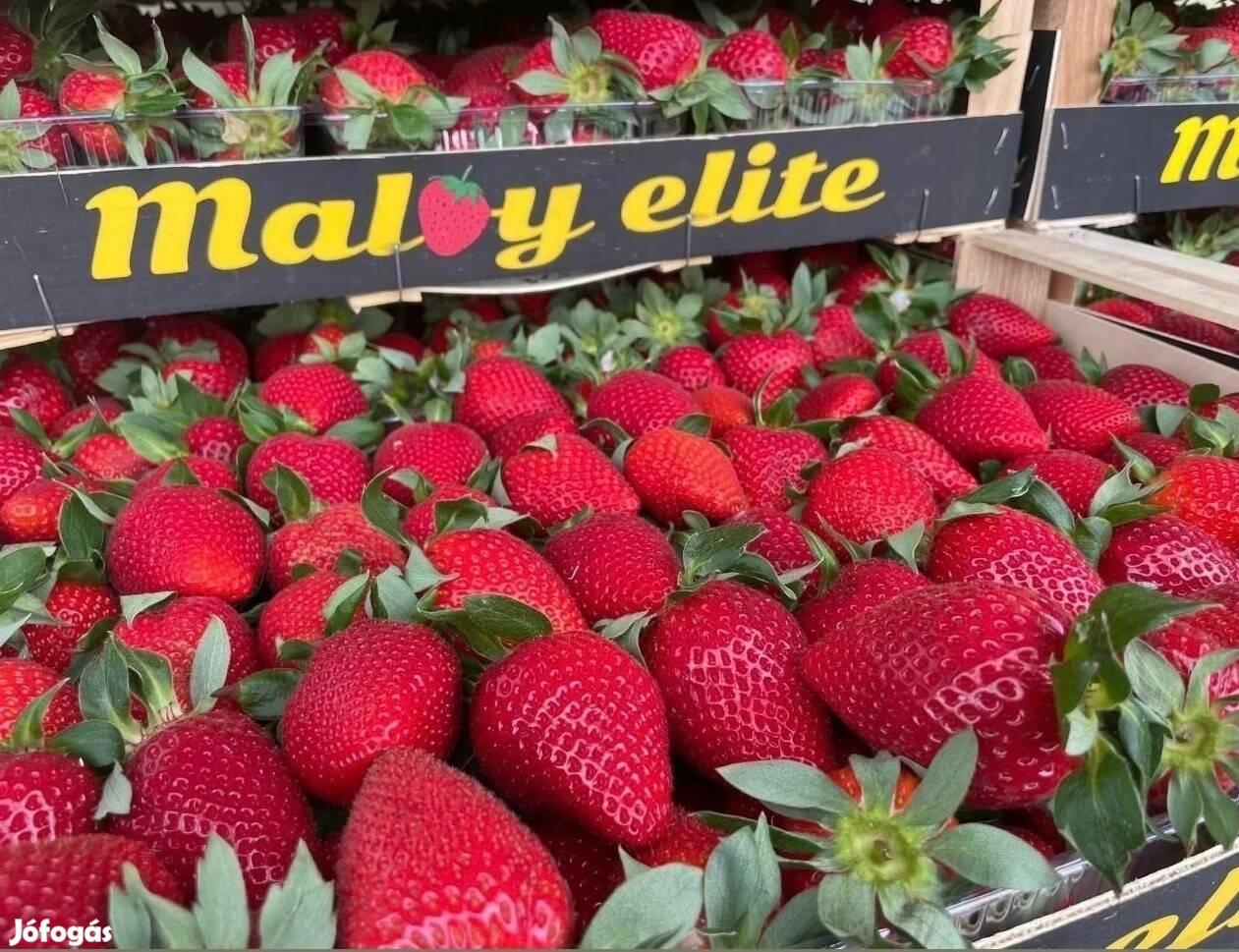 Görög eper friss mézédes