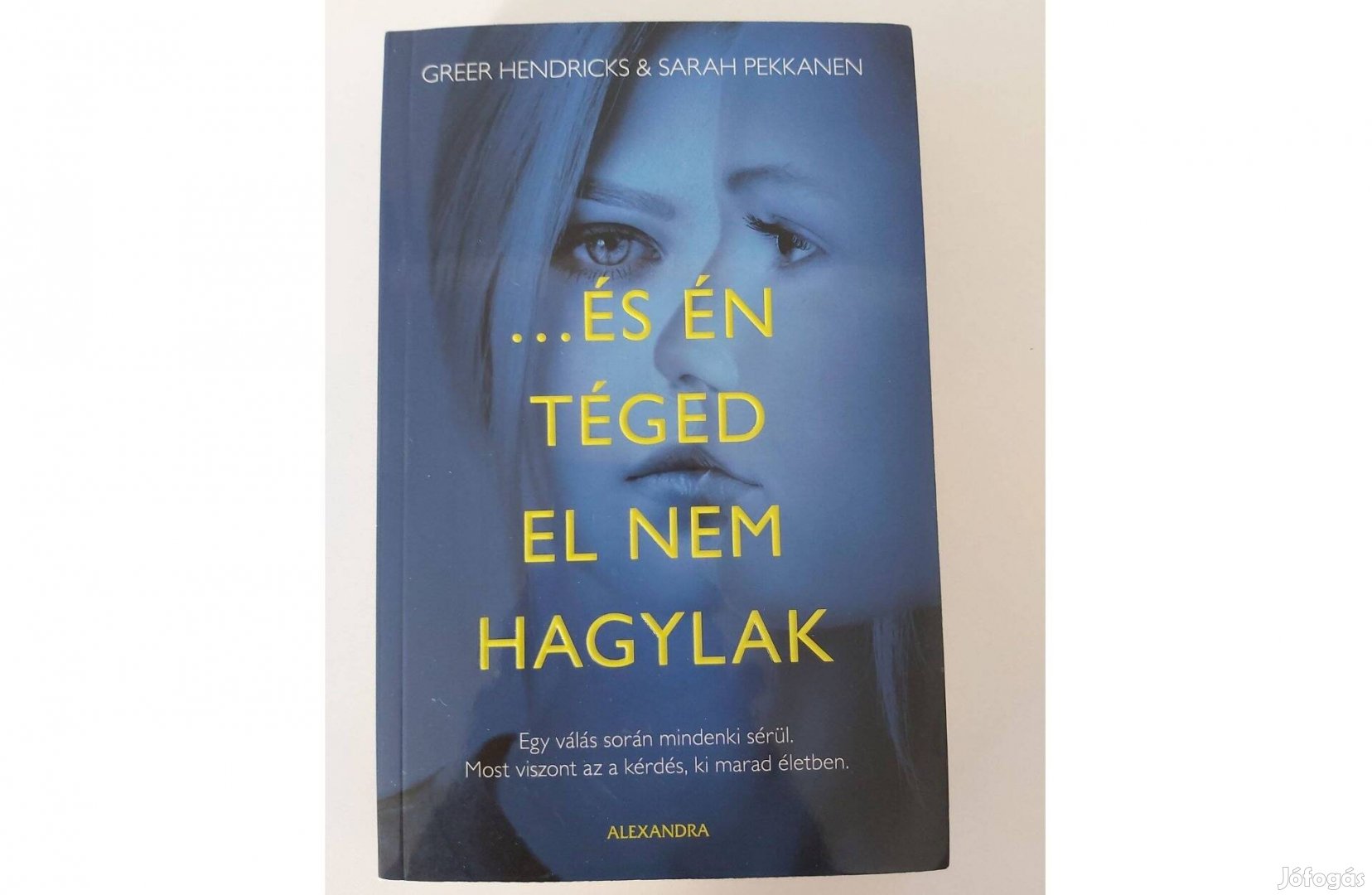 Greer Hendricks Sarah Pekkanen: és én téged el nem hagylak