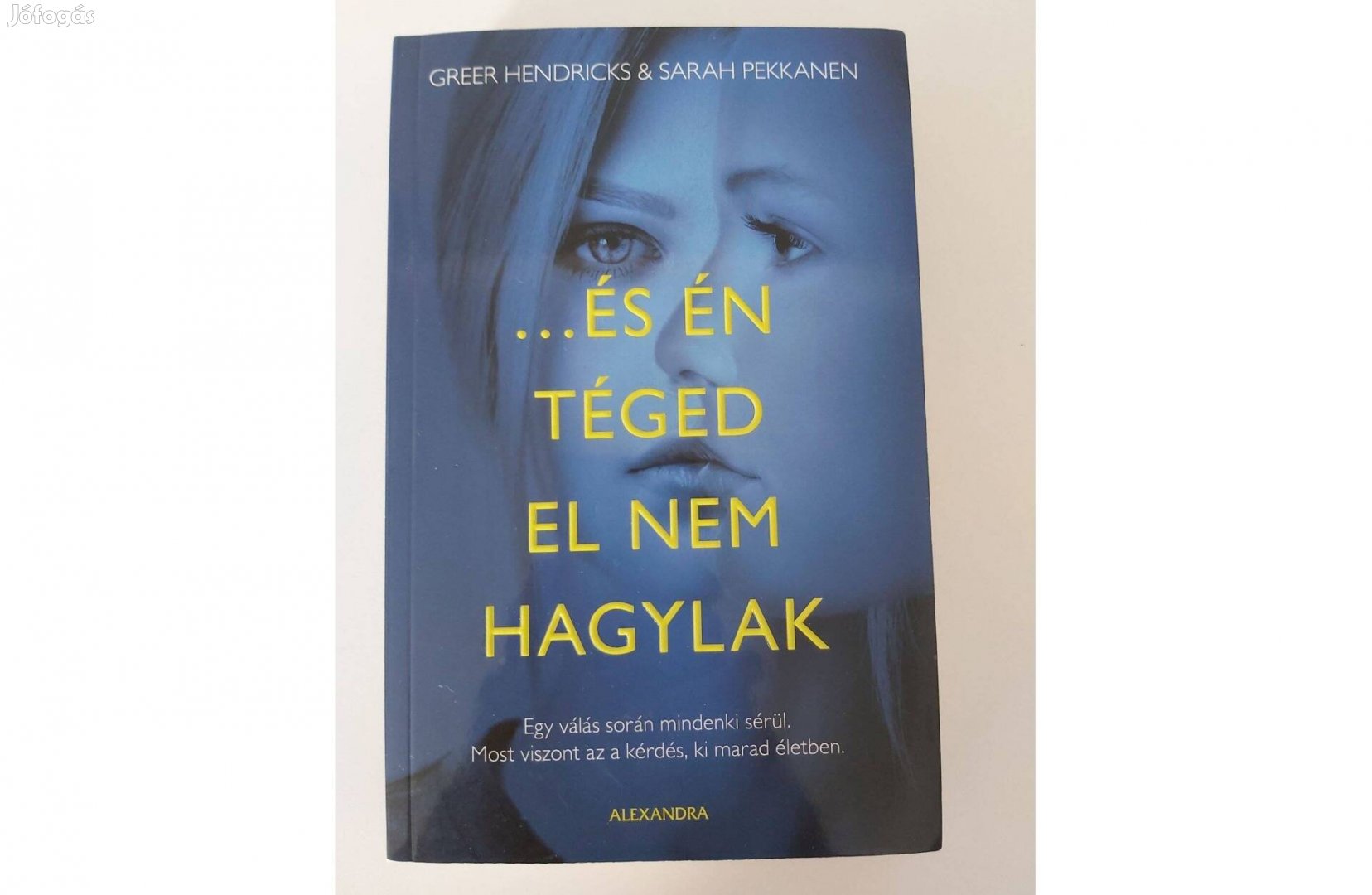 Greer Hendricks Sarah Pekkanen: és én téged el nem hagylak