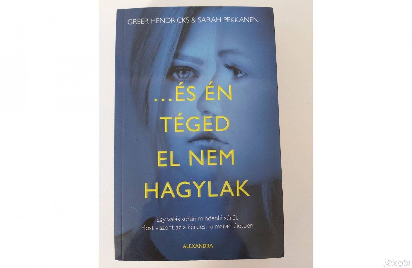 Greer Hendricks Sarah Pekkanen: és én téged el nem hagylak