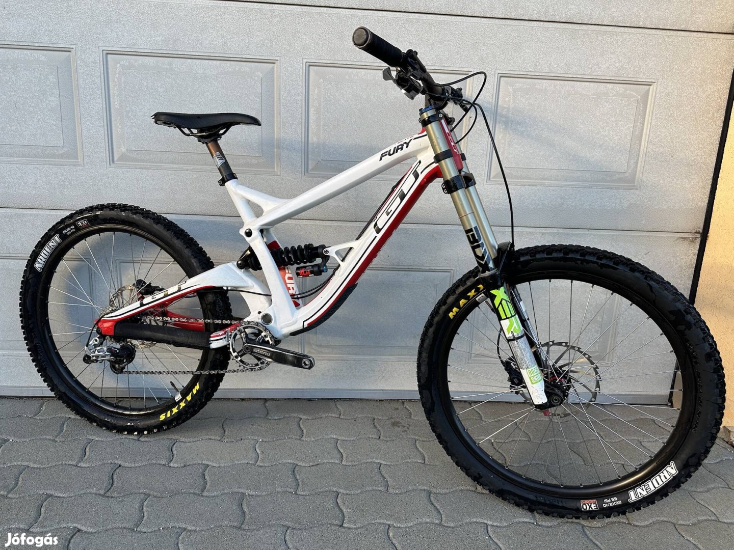 Gt Fury dh bico