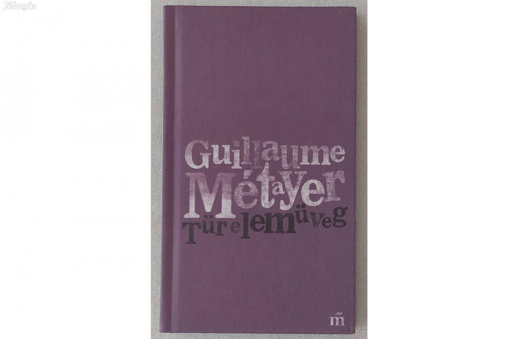 Guillaume Métayer: Türelemüveg