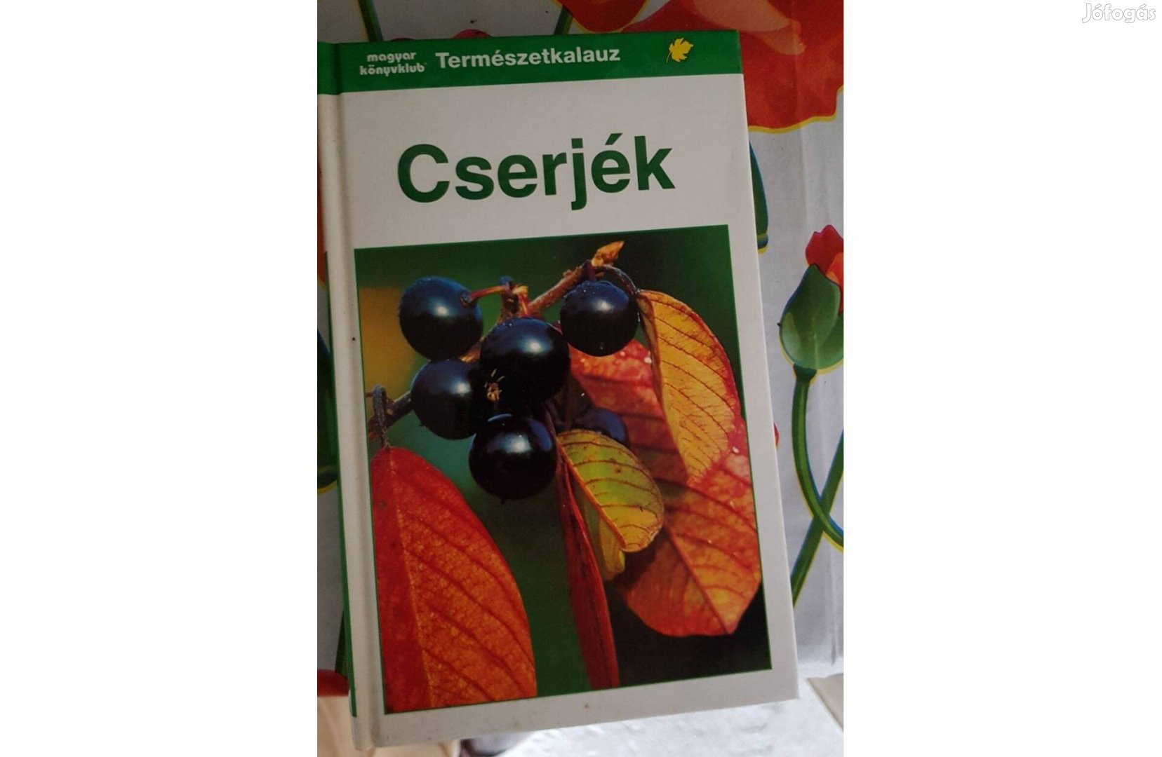 Gunter Steinbach (szerk.) - Cserjék