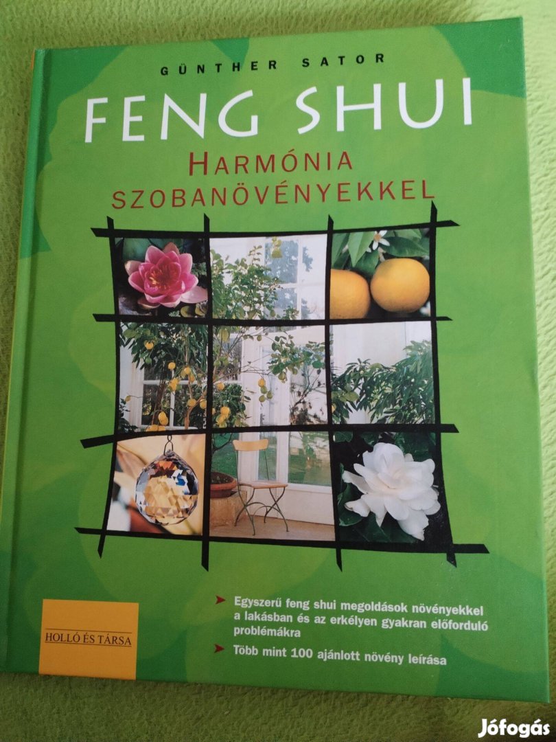 Günther Sator: Feng shui harmónia szobanövényekkel