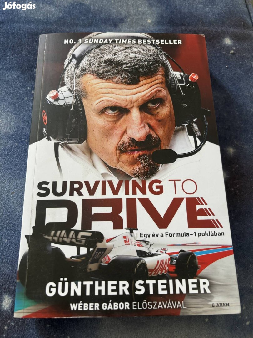 Günther Steiner: Surviving to drive