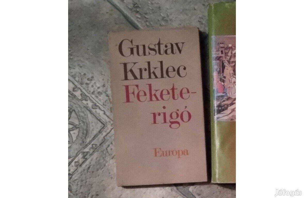 Gustav Krklec Feketerigó könyv