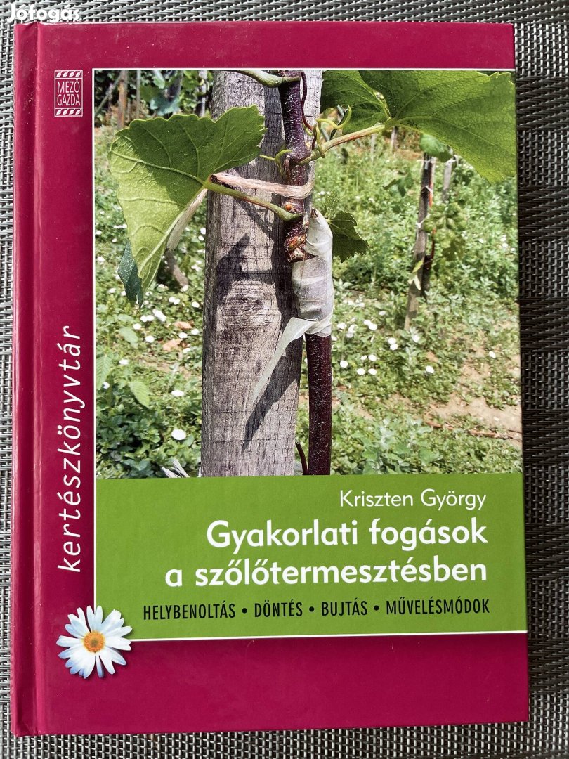 Gyakorlati fogások a szőlőmetszésben