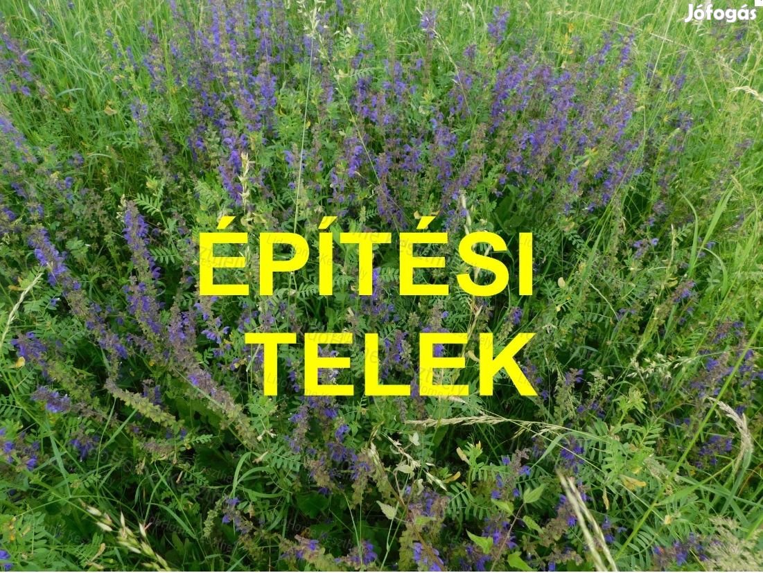 Gyenesdiáson építési telek eladó