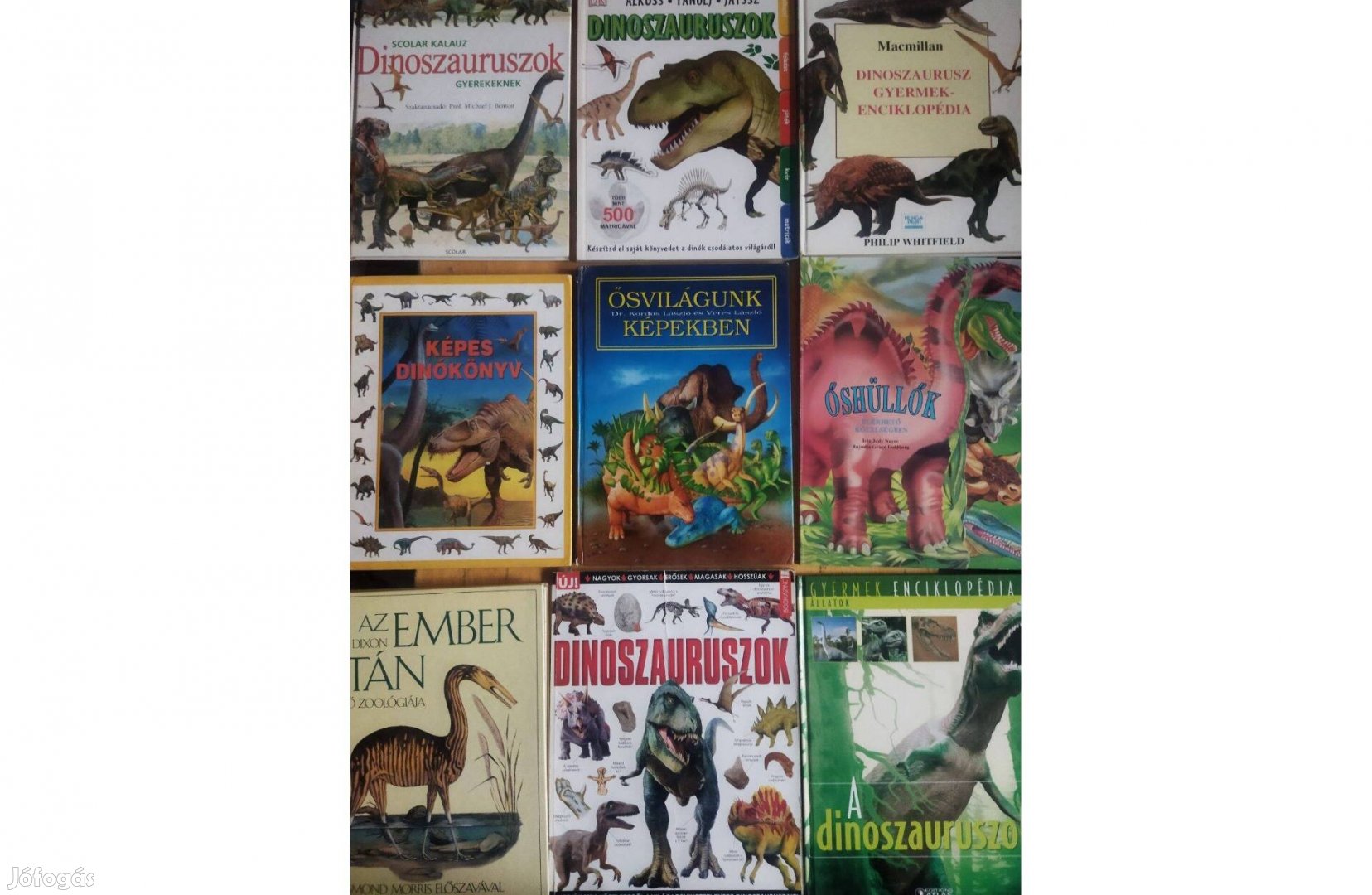 Gyerek Dinoszaurusz Könyvek-1