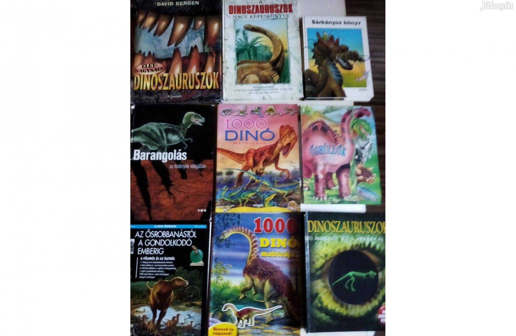 Gyerek Dinoszaurusz Könyvek-2
