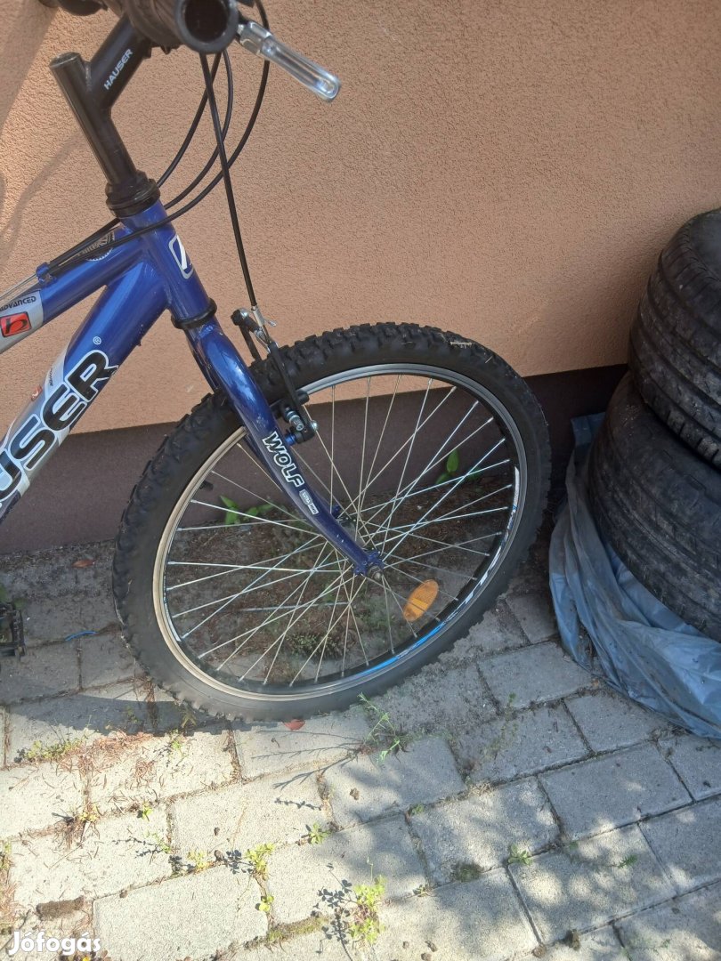 Gyerekbicikli kék színben