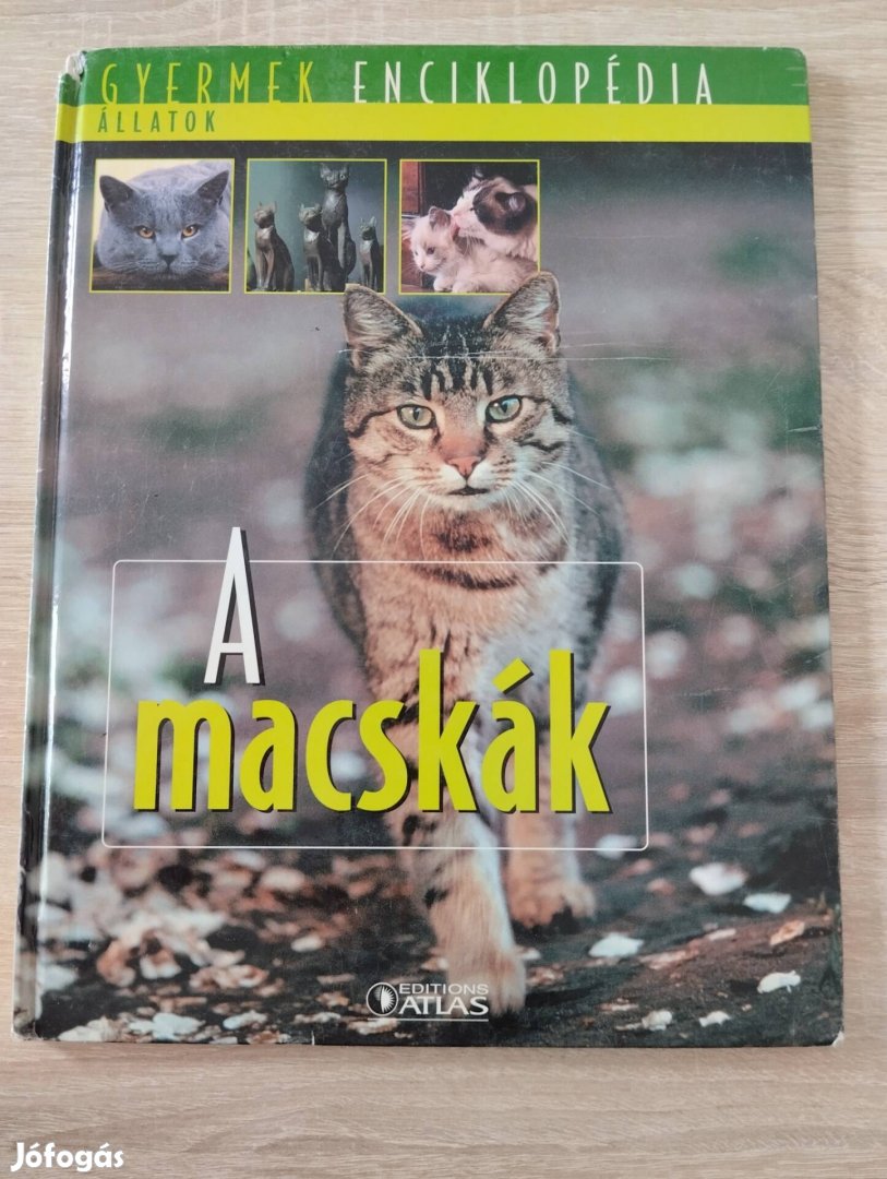 Gyermek Enciklopédia - A macskák