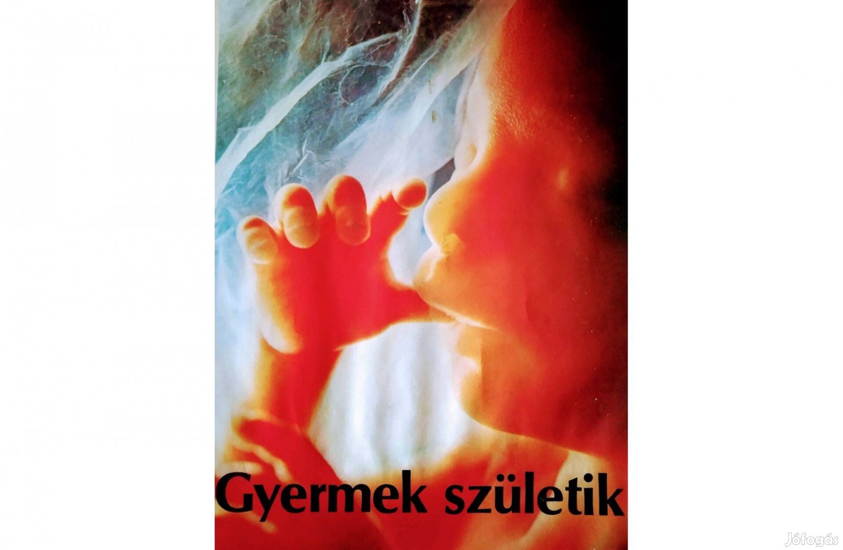 Gyermek születik L. Nilsson L. Hamberger Medicina Könyvkiadó Zrt.,