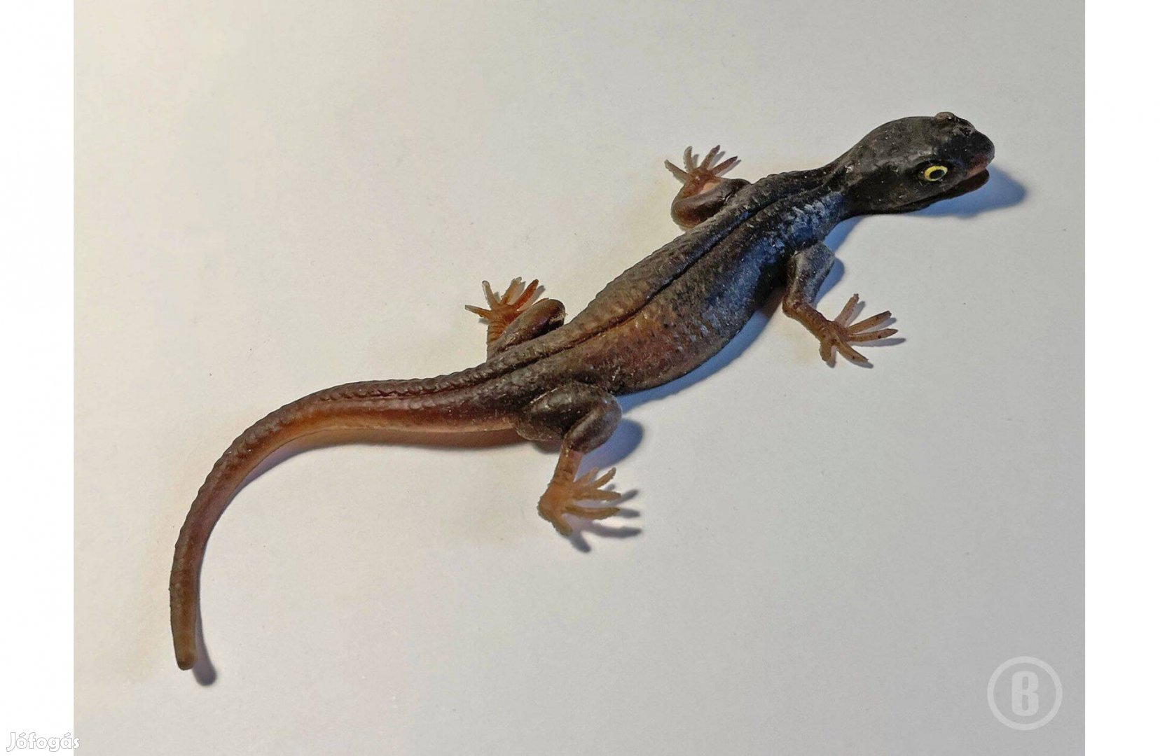 Gyík rugalmas anyagból - - - Csak személyesen!