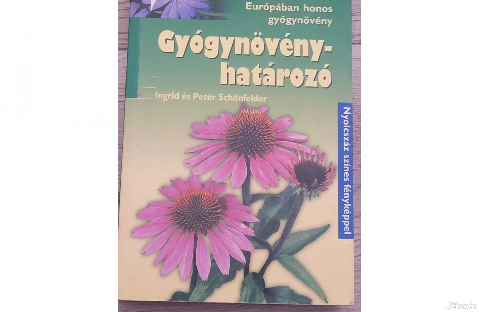 Gyógynövény-határozó