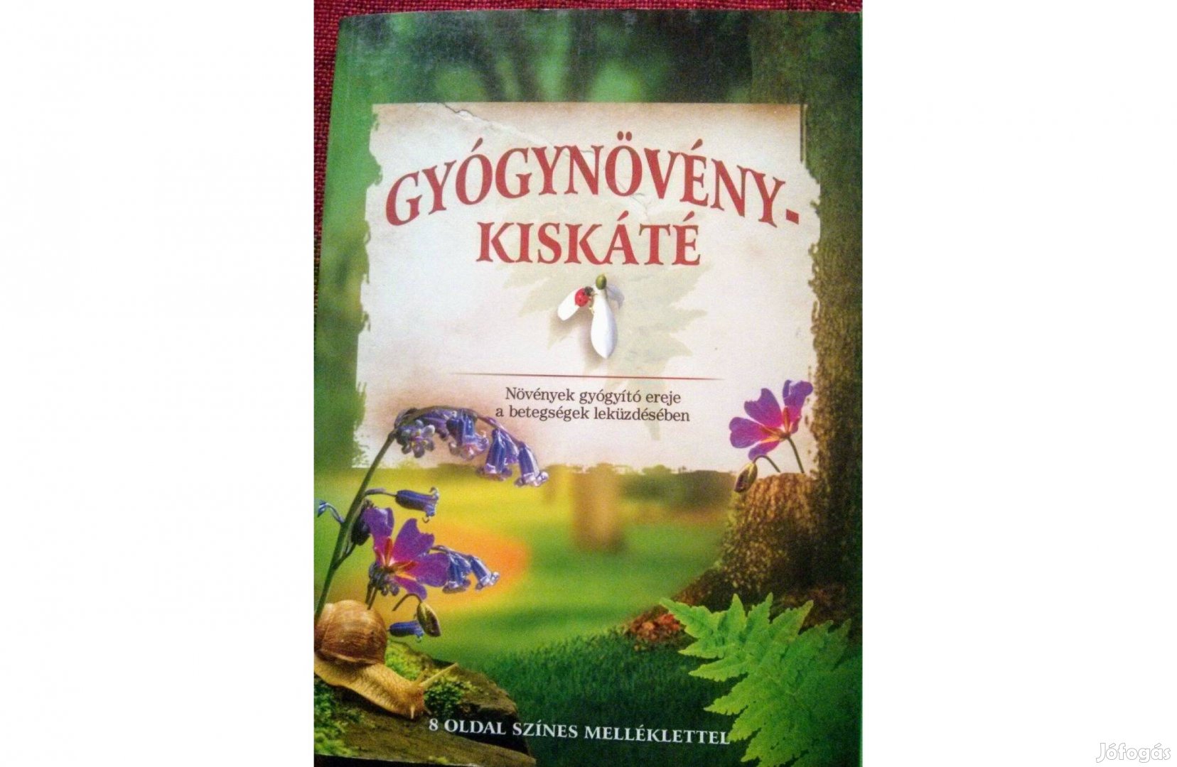 Gyógynövény kiskáte újszerű
