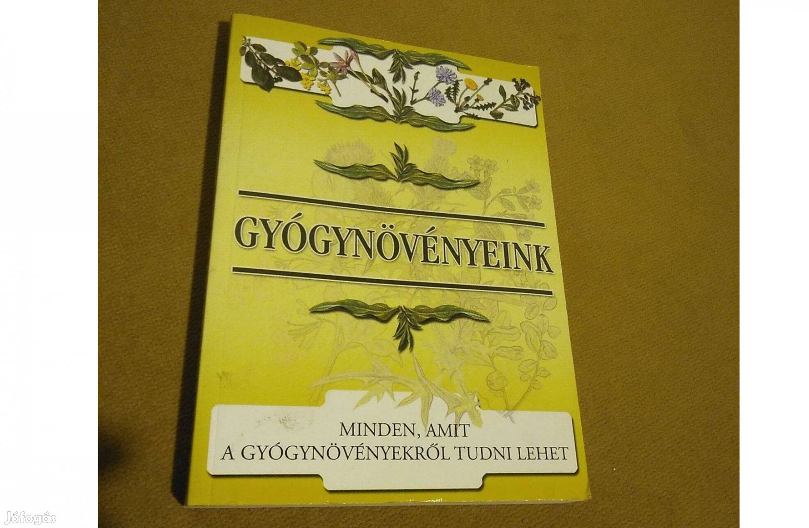 Gyógynövényeink
