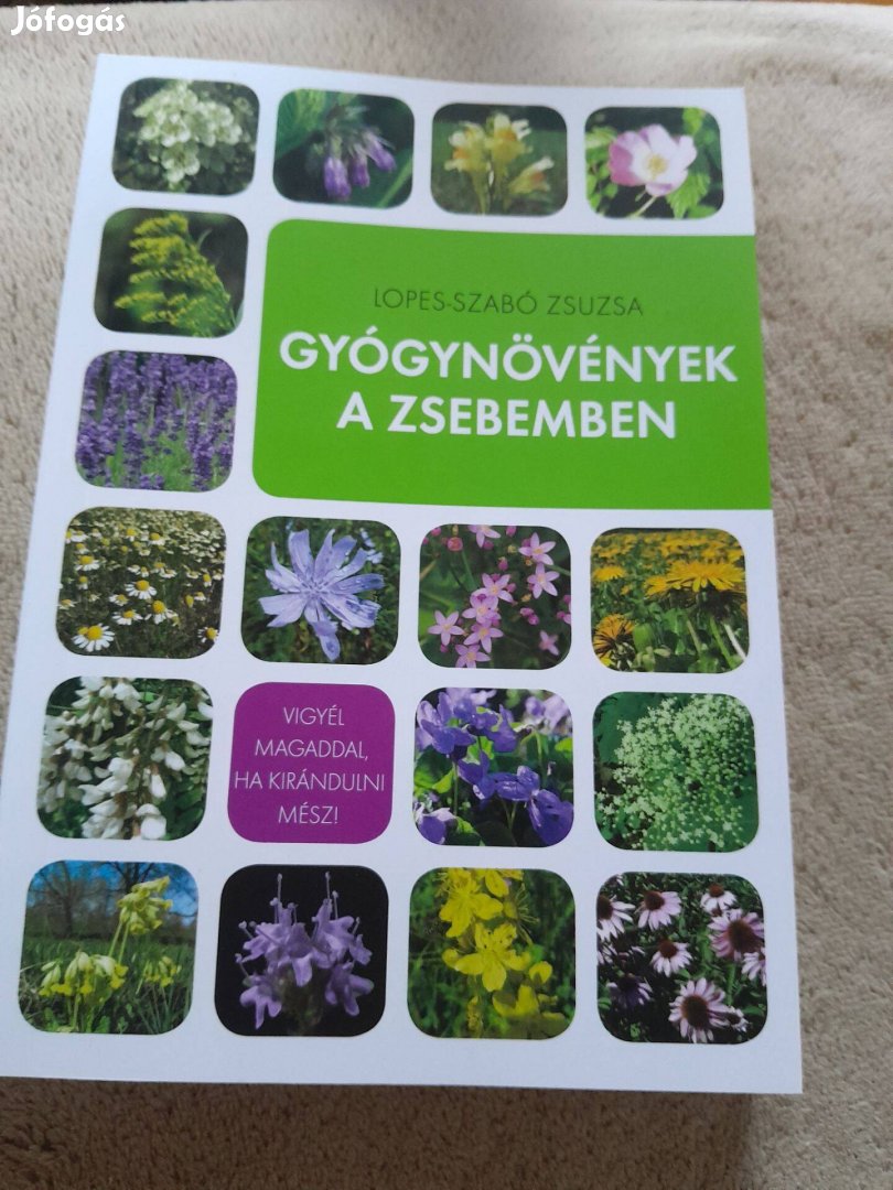 Gyógynövények a zsebemben