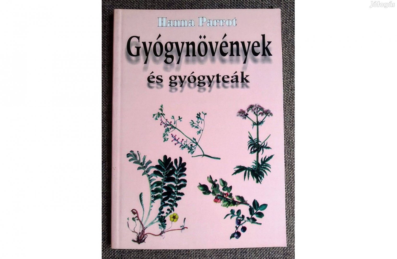 Gyógynövények és gyógyteák Hanna Parrot Merlin Book