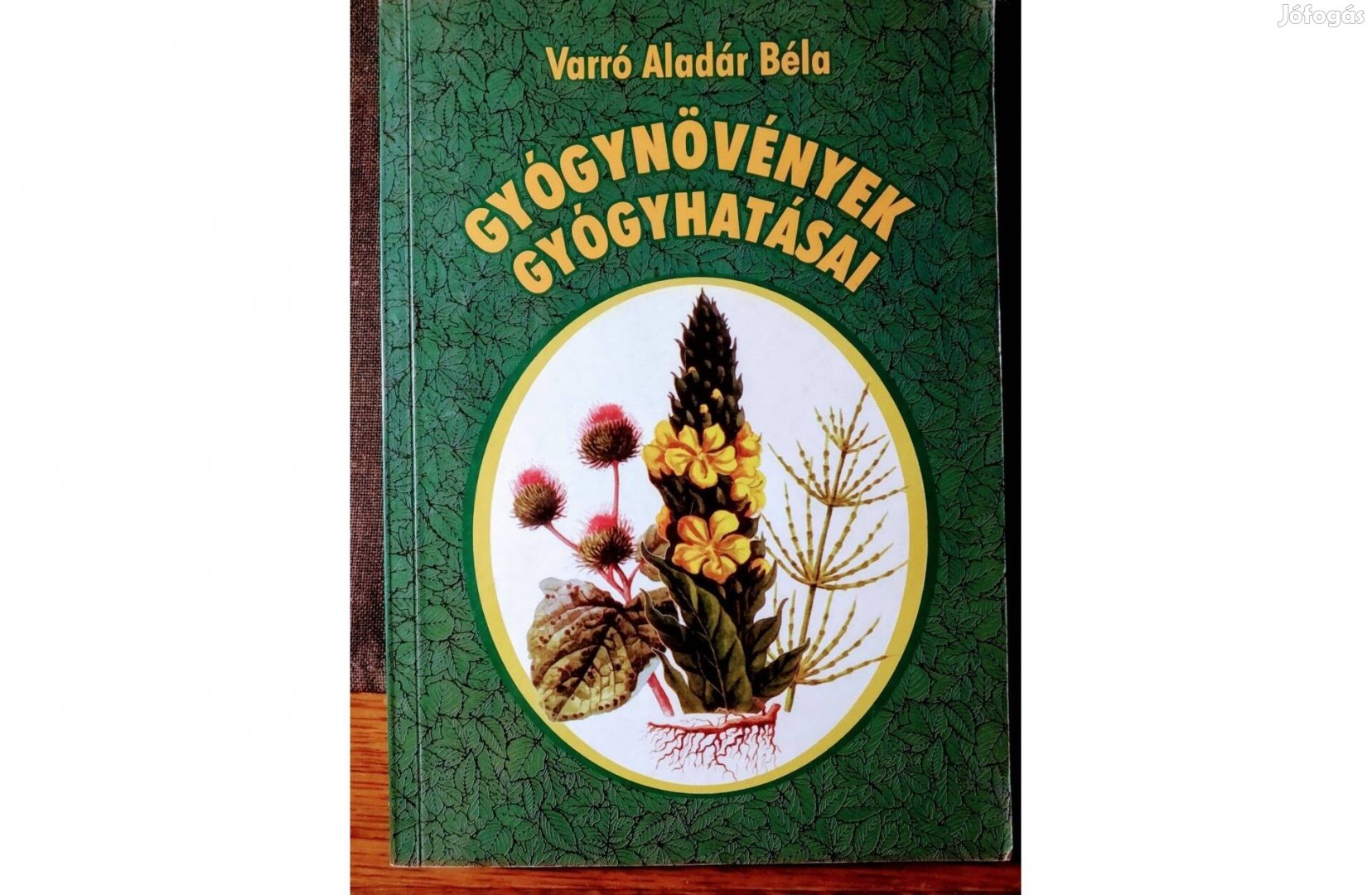 Gyógynövények gyógyhatásai