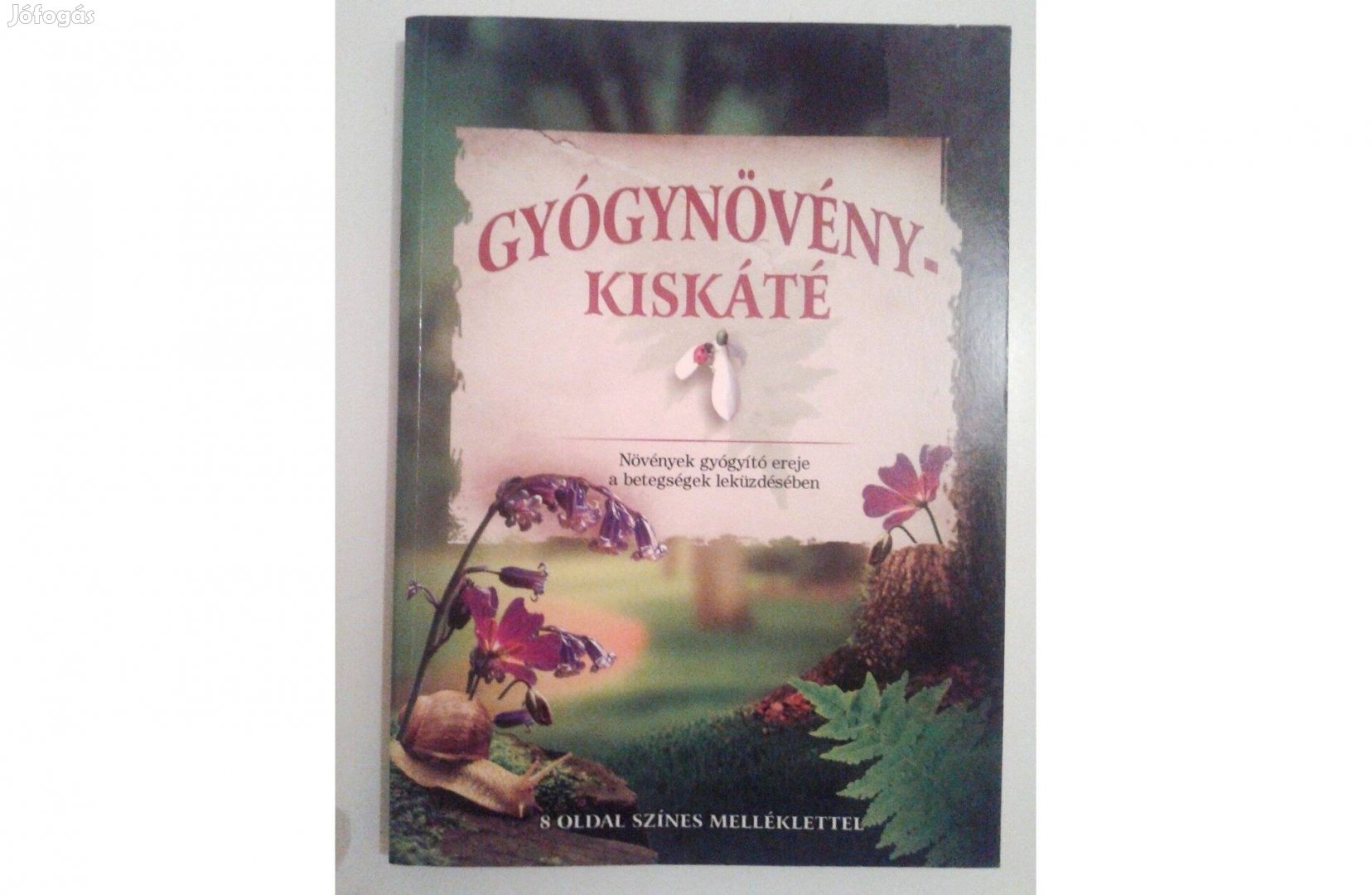 Gyógynövénykiskáté könyv