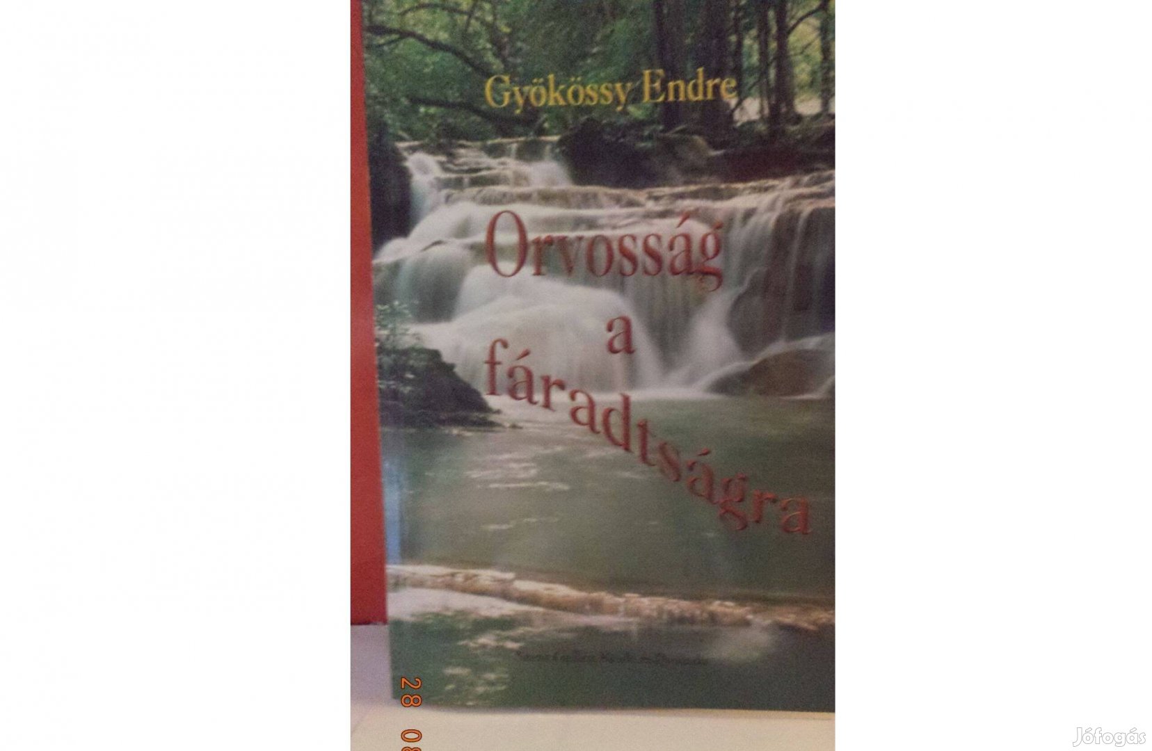 Gyökössy Endre: Orvosság a fáradtságra