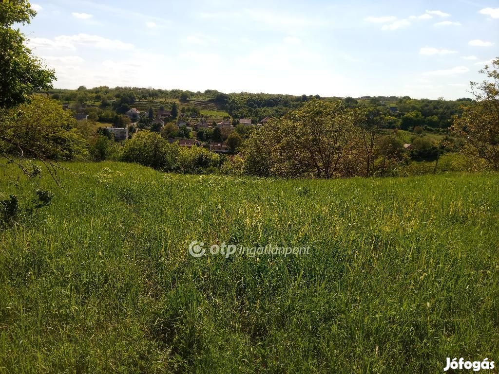 Gyönk külterületén 5072 nm csodás örök panorámás telek
