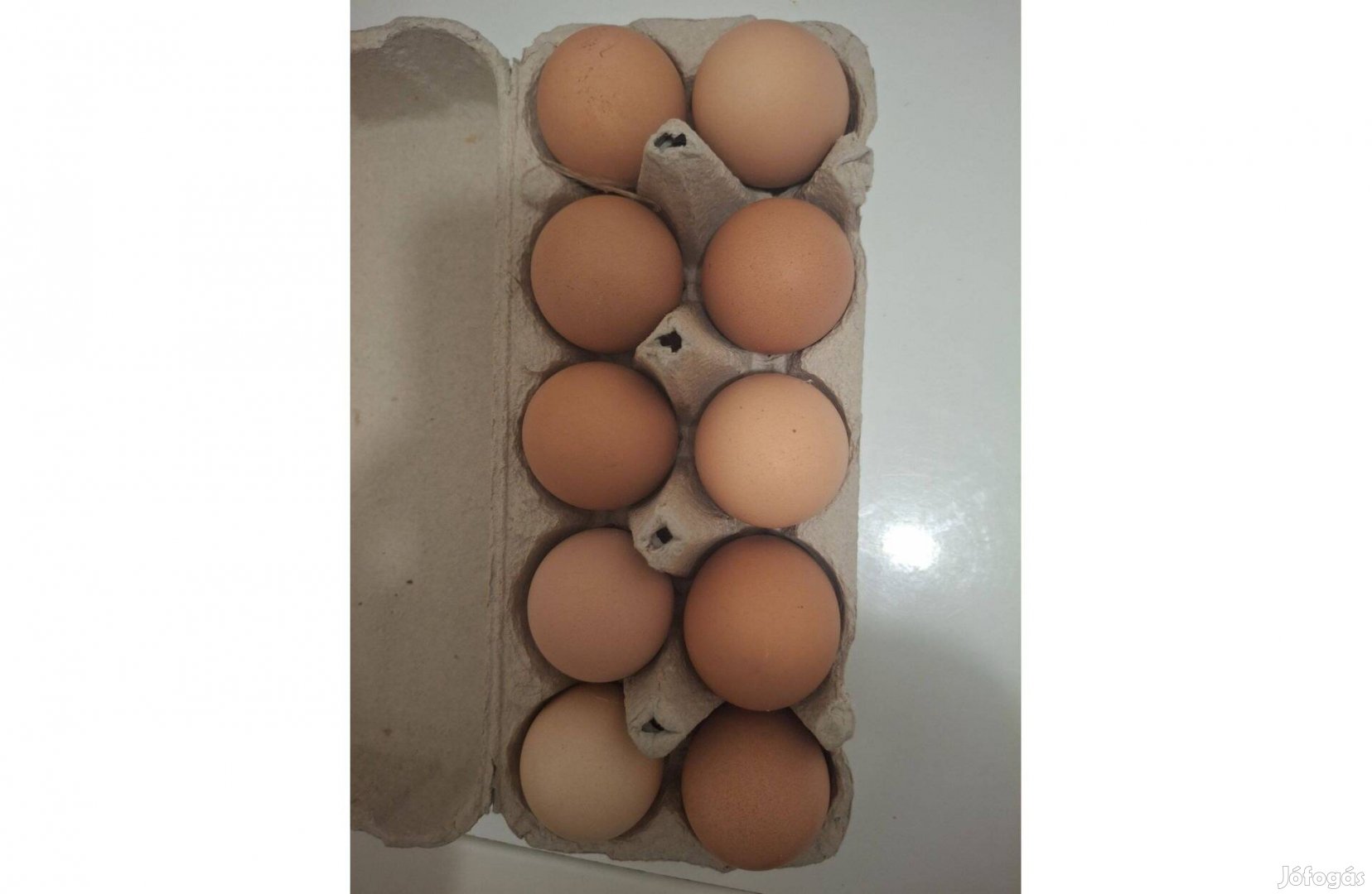 Gyönyörű házi tojás eladó