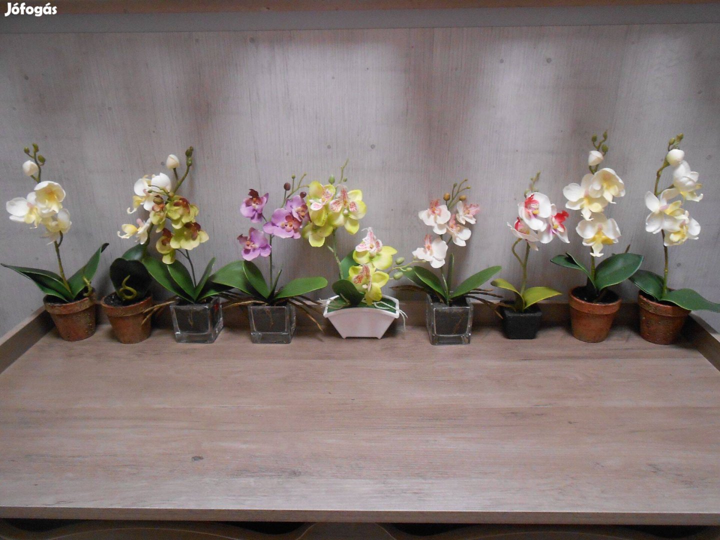 Gyönyörű mű orchidea,virág