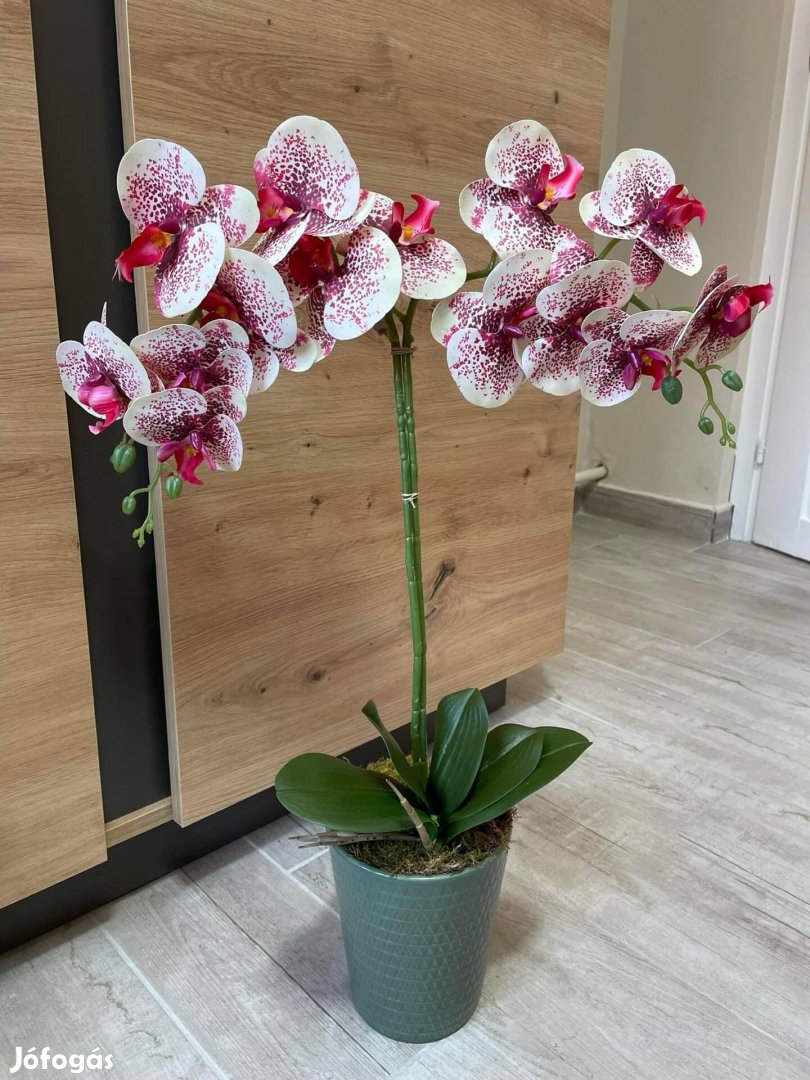 Gyönyörű nagyméretű gondozásmentes Orchidea kerámia kaspó