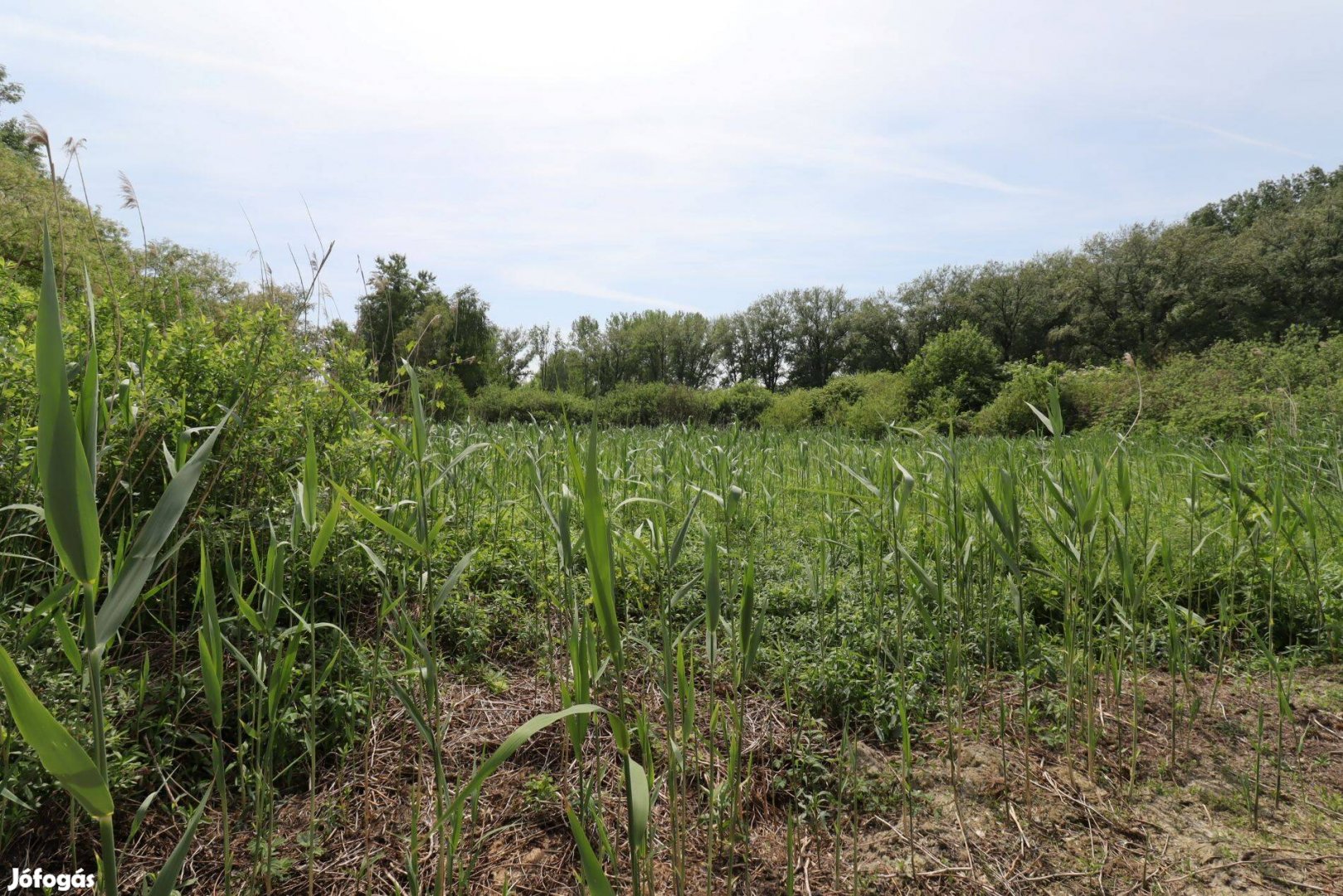 Győr-Górédűlőben 1582 m2-es zártkerti telek