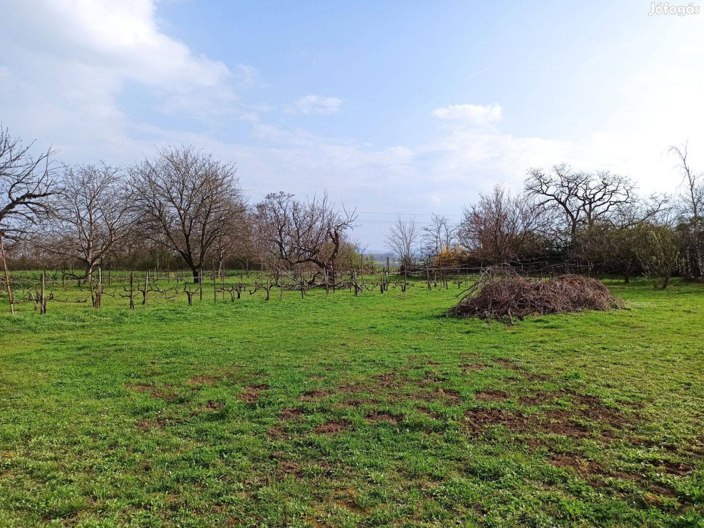 Győr-Sashegyen 2000 m2-es telek eladó