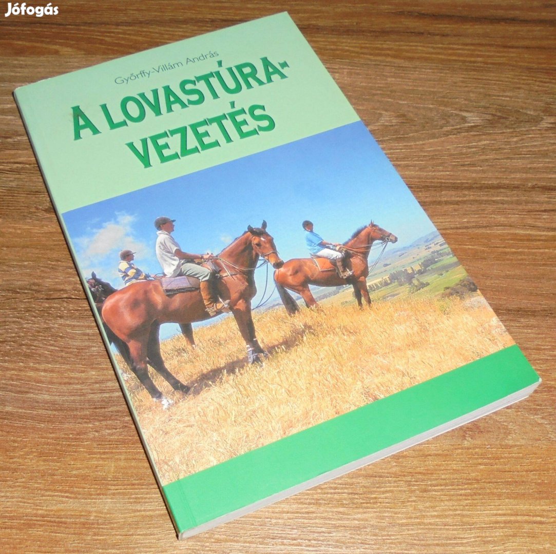 Győrffy-Villám András A lovastúra-vezetés