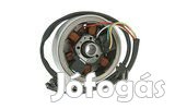 Gyújtás állórész + rotor Derbi / Aprilia (Ducati / Kokusan)