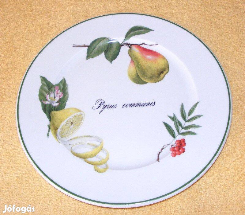 Gyümölcsmintás porcelán tányér