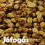 HOME 15 Stout komplett sörfőzőcsomag   ( 459 )