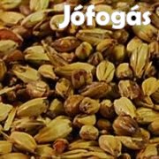 HOME 15 Stout komplett sörfőzőcsomag   ( 459 )