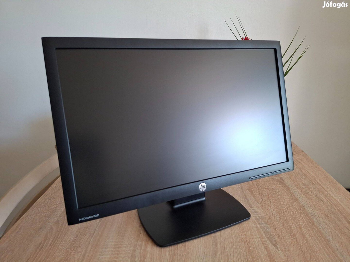 HP Prodisplay P221 LED monitor 22" (VGA/DVI)