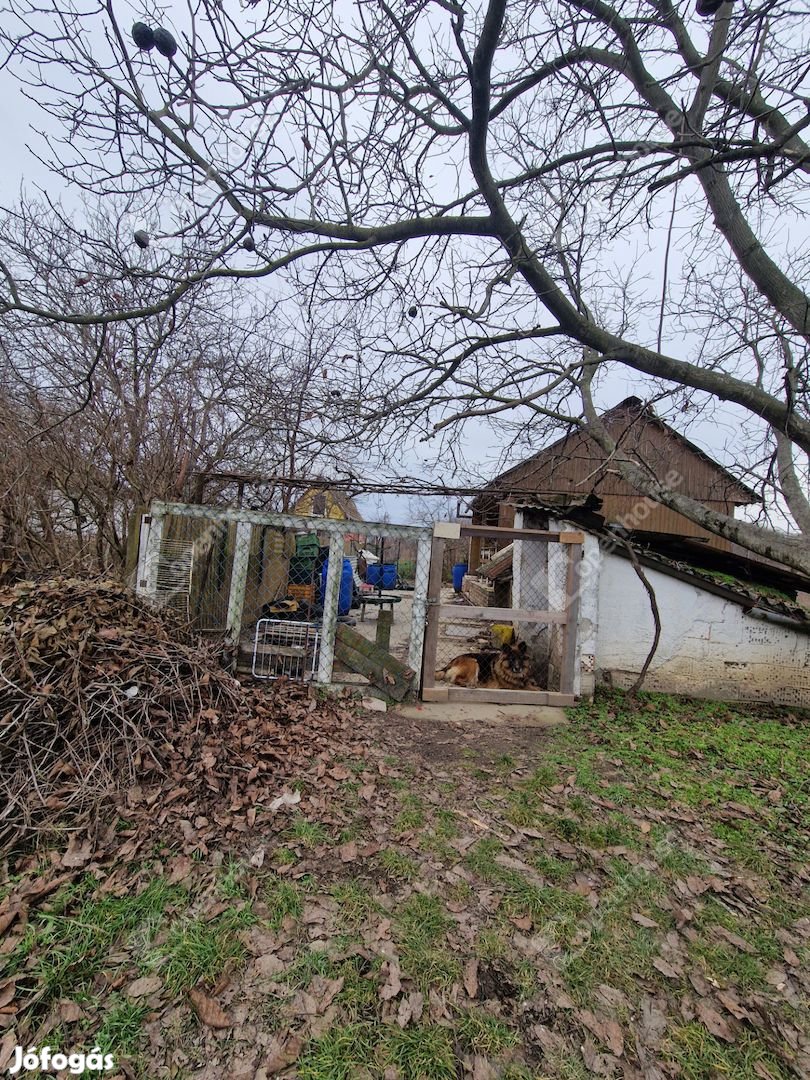 Ha megérinti a természet közelsége....