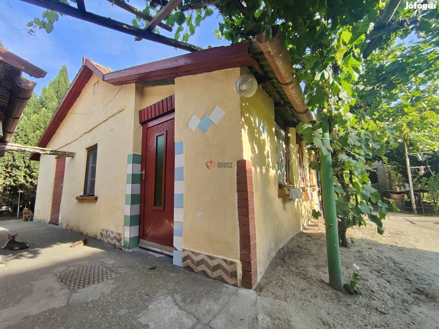 Ha szabadulnál a városból, gyere Szatymazra! 64_fwh