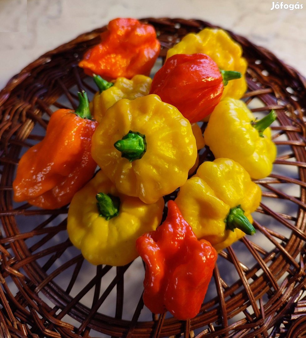 Habanero paprika