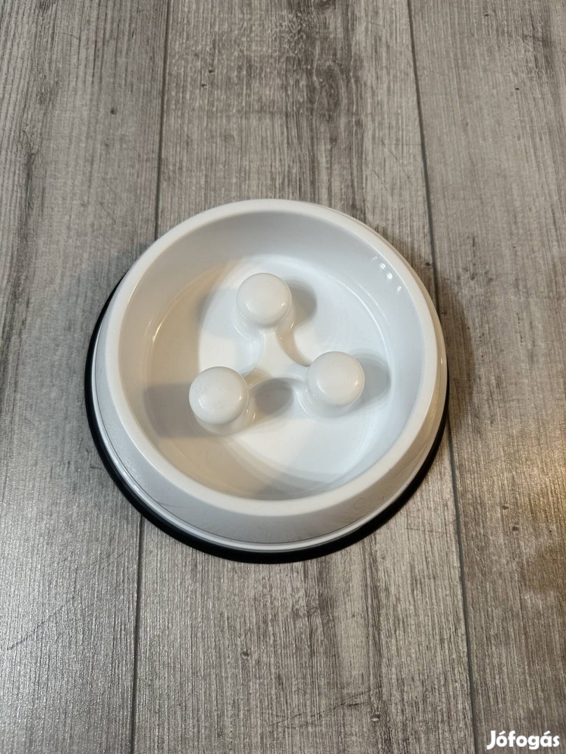 Habzsoló kutyáknak etető