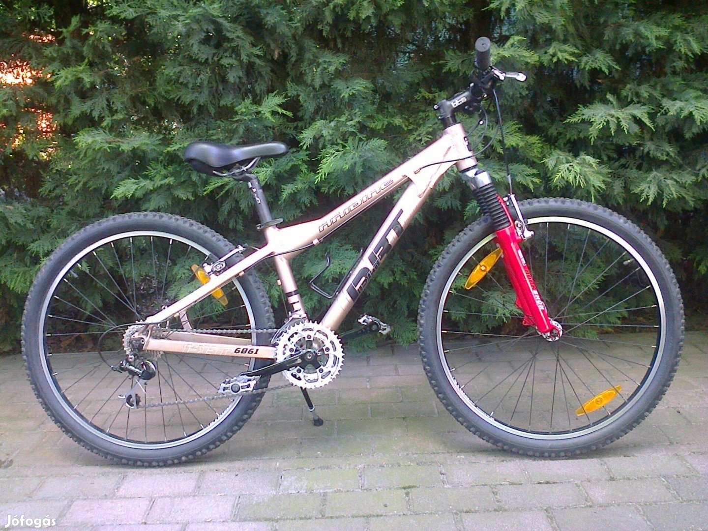 Haibike Dirt Mtb