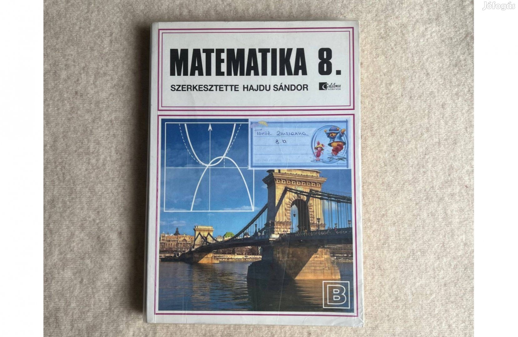 Hajdu Sándor: Matematika 8