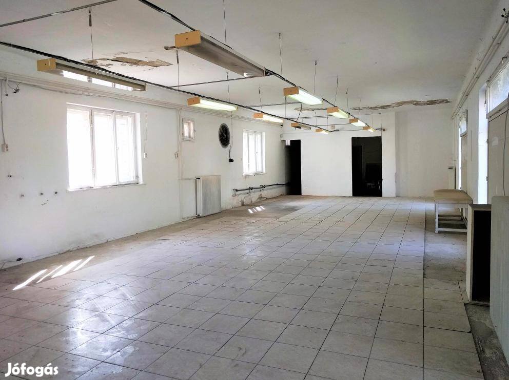 Hajdúszováti eladó 120 nm-es üzlethelyiség 3428135