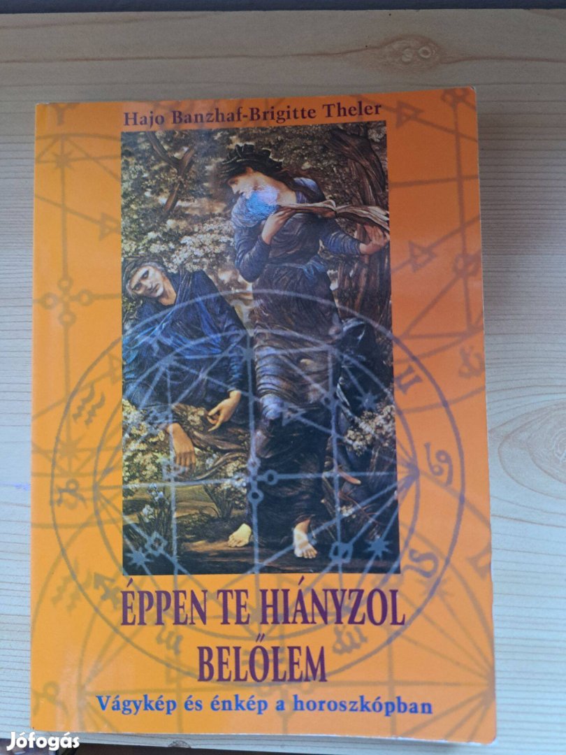Hajo Banzhaf Brigitte Theler: Éppen te hiányzol belőlem