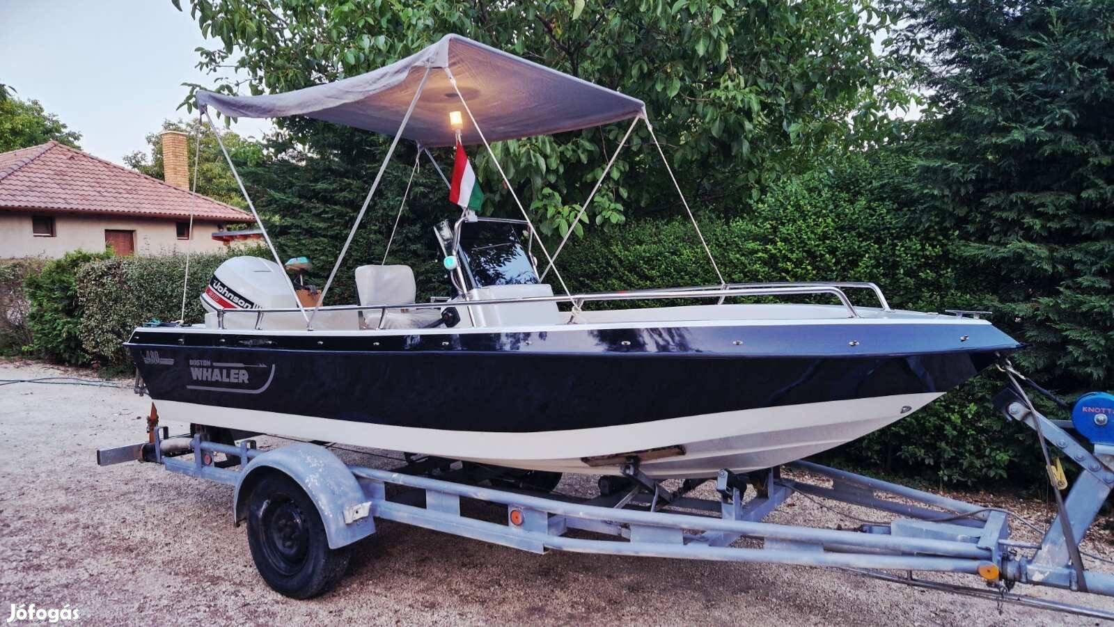 Hajó utánfutóval ( Boston Whaler 480)